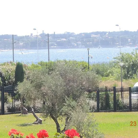 Les Pins Bleus - Antibes Les Pins شقة